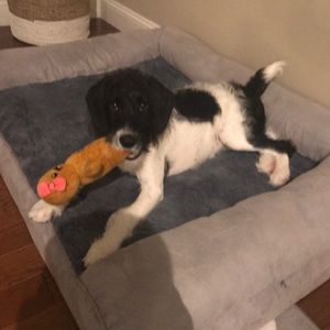 Meet your Posher, Laura